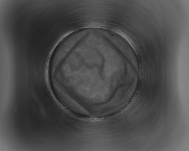 X0000100921139200807151216