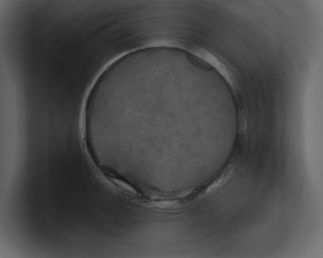 X0000100921140200807151216