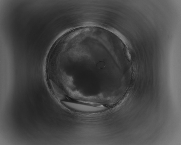 X0000100921142200807151216