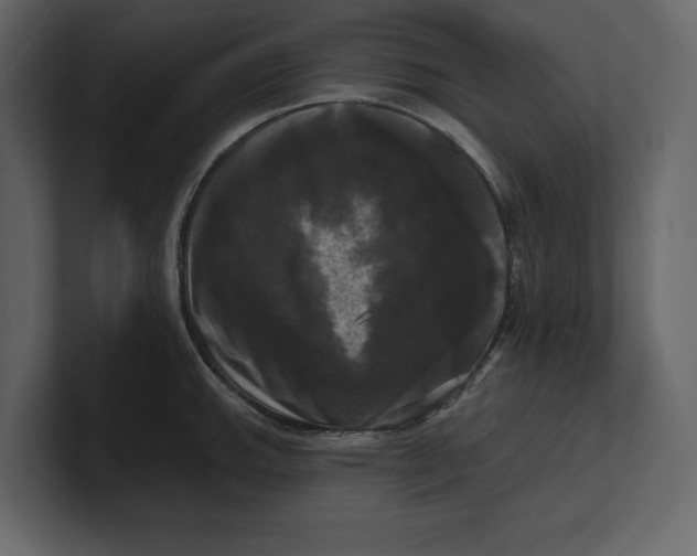 X0000100921143200807151216