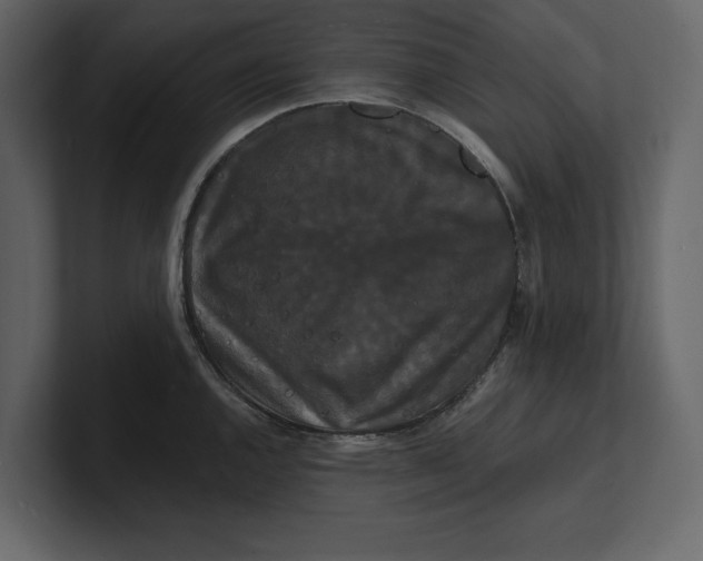 X0000100921144200807151216