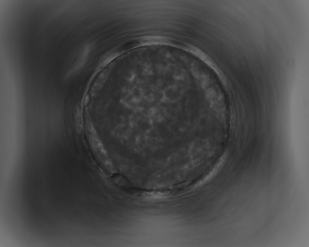 X0000100921145200807151216