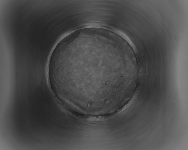 X0000100921146200807151216