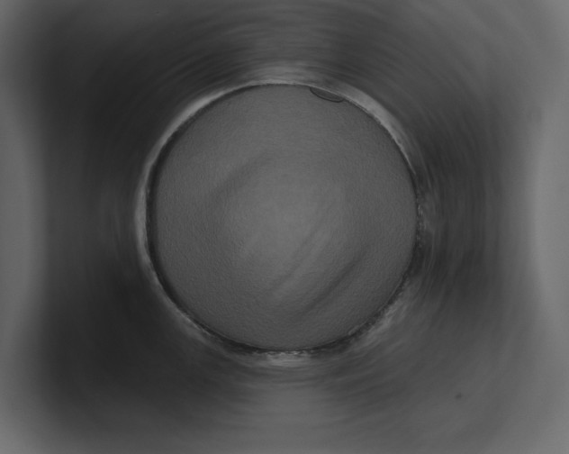 X0000100921147200807151216