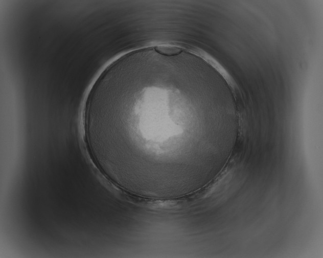 X0000100921148200807151216