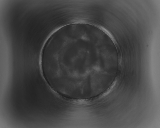 X0000100921149200807151216