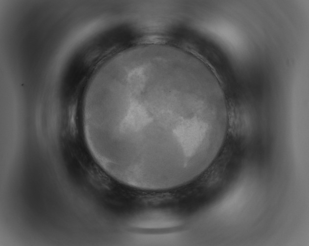 X0000100921150200807151216