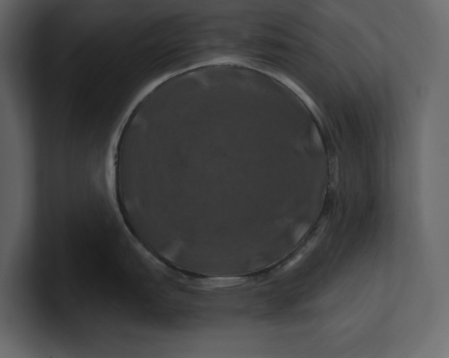 X0000100921151200807151216