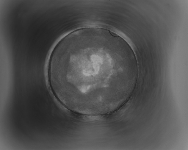 X0000100921152200807151216