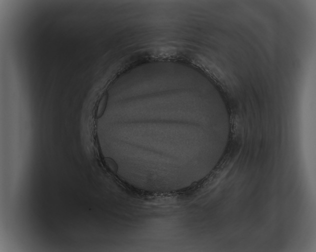 X0000100921153200807151216