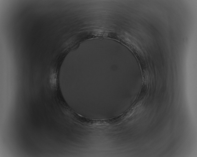 X0000100921154200807151216