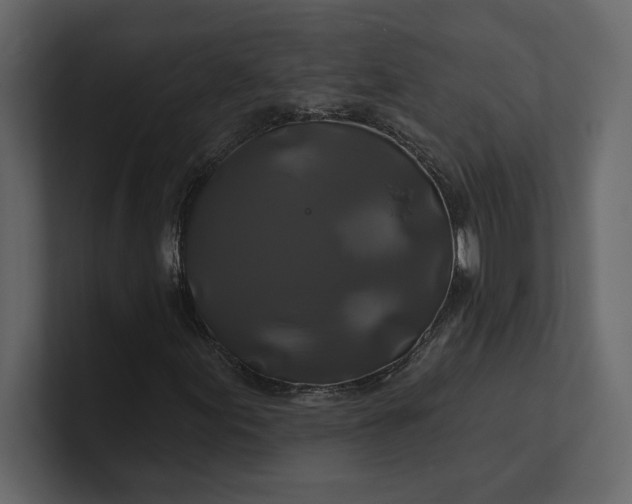 X0000100921155200807151216