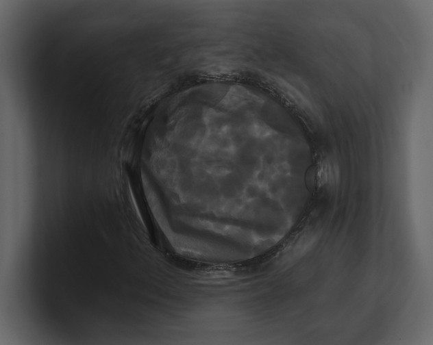 X0000100921156200807151216