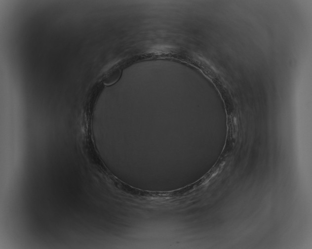 X0000100921158200807151216