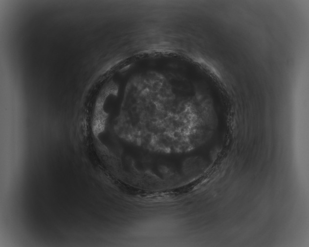 X0000100921159200807151216