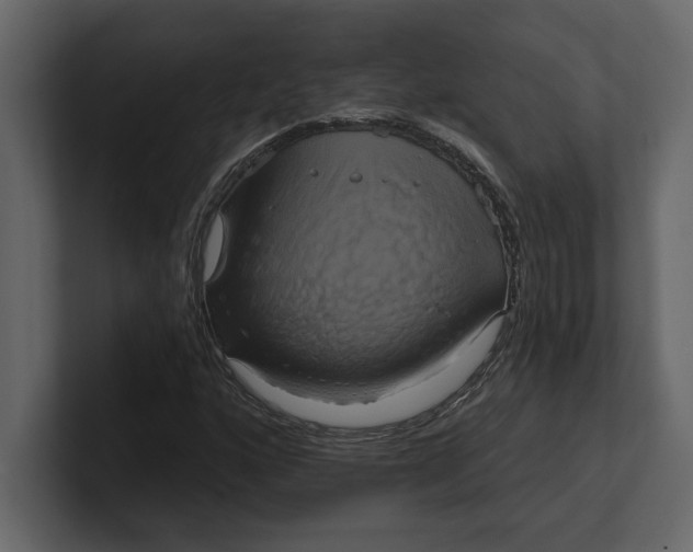 X0000100921160200807151216