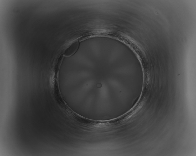 X0000100921161200807151216