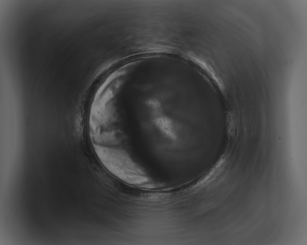 X0000100921163200807151216