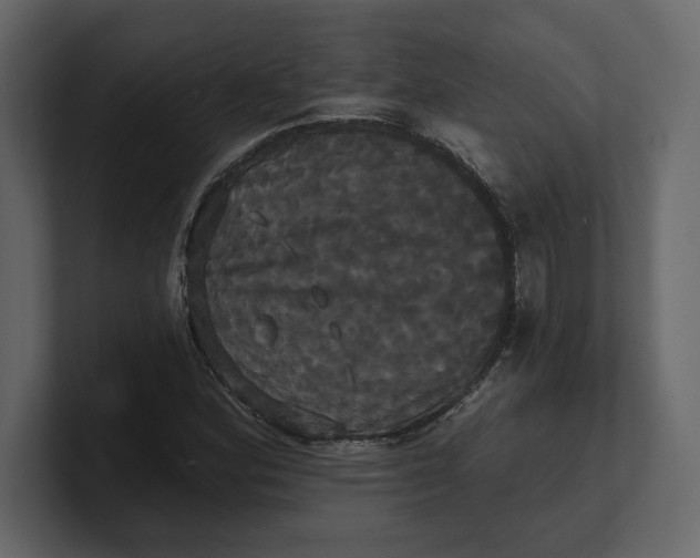 X0000100921164200807151216