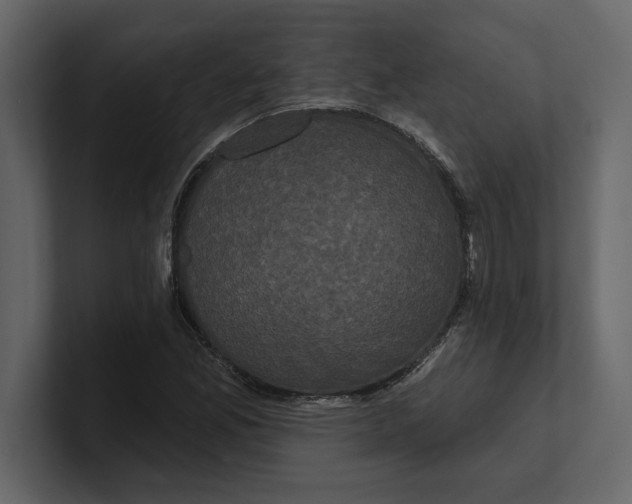 X0000100921165200807151216