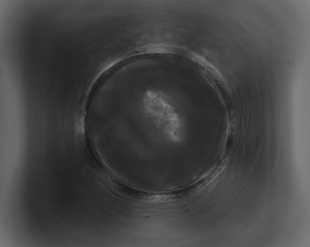 X0000100921166200807151216