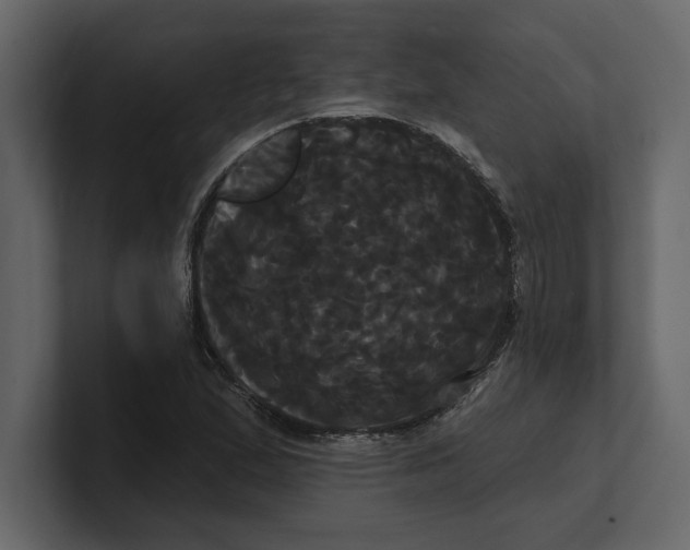 X0000100921167200807151215