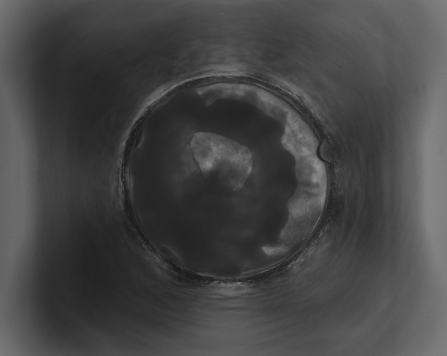 X0000100921168200807151215