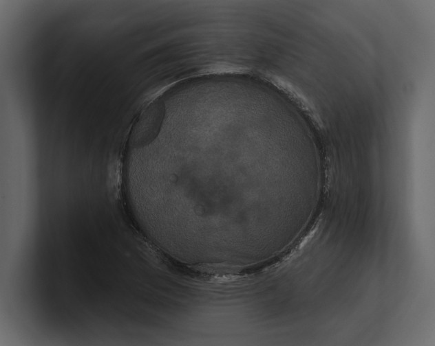 X0000100921169200807151215