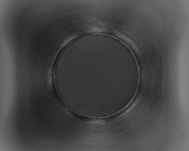 X0000100921170200807151215