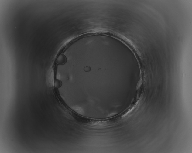 X0000100921171200807151215