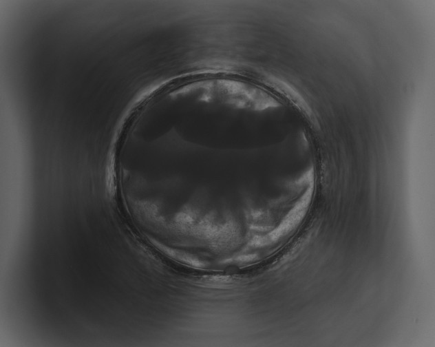 X0000100921172200807151215