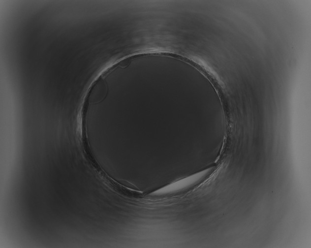 X0000100921173200807151215