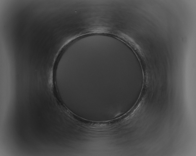 X0000100921174200807151215