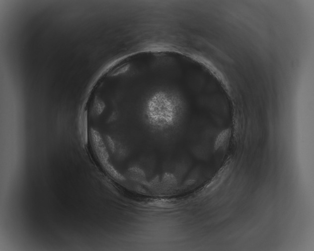 X0000100921175200807151215