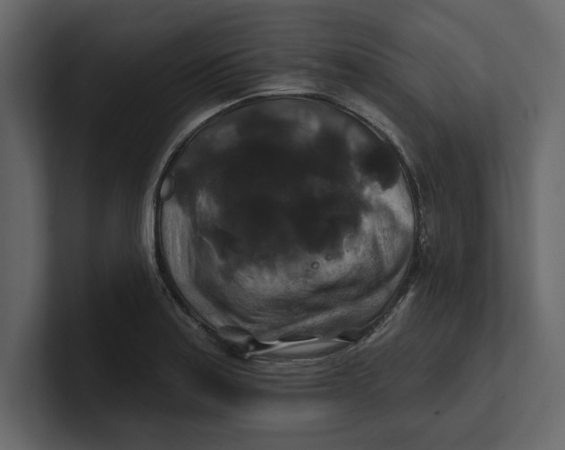 X0000100921179200807151215