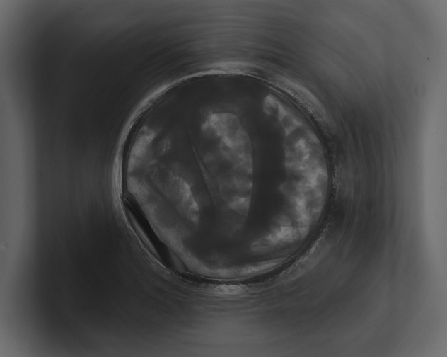 X0000100921180200807151215