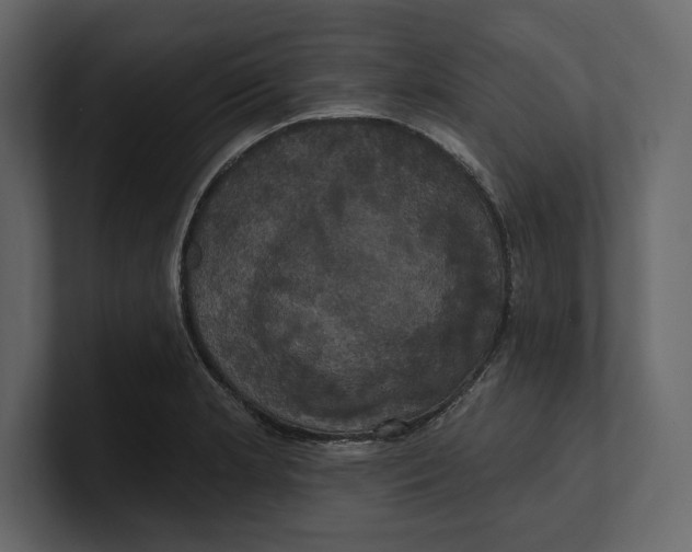 X0000100921181200807151215