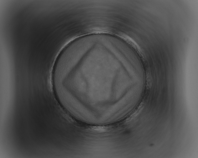 X0000100921182200807151215