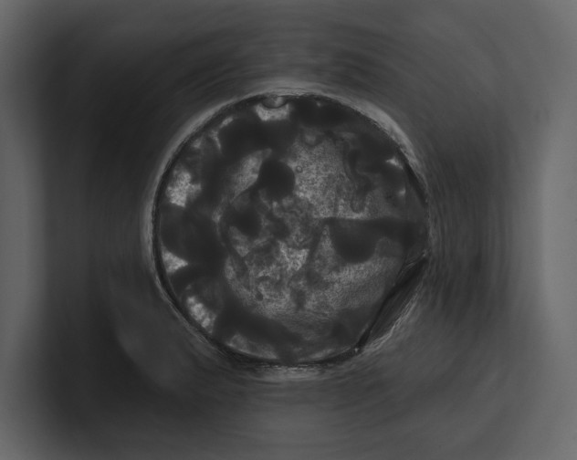 X0000100921183200807151215