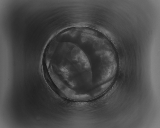 X0000100921184200807151215