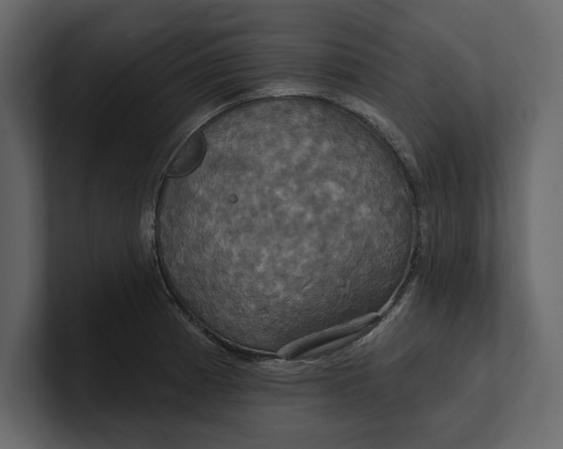 X0000100921185200807151215