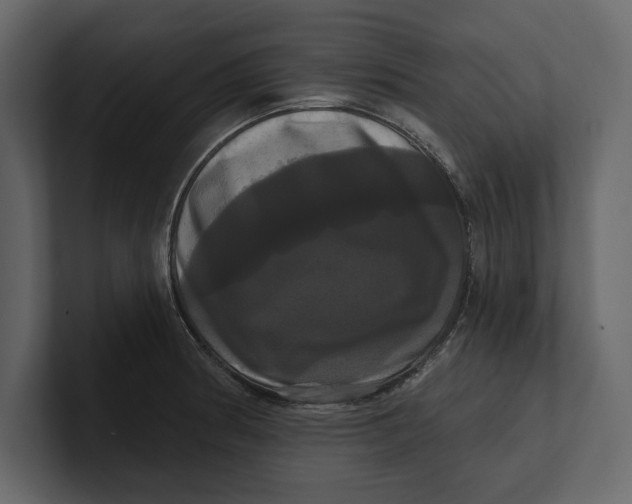 X0000100921186200807151215