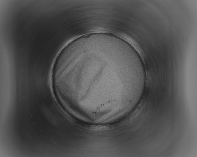 X0000100921187200807151215