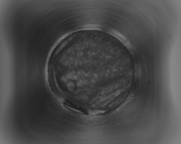 X0000100921188200807151215