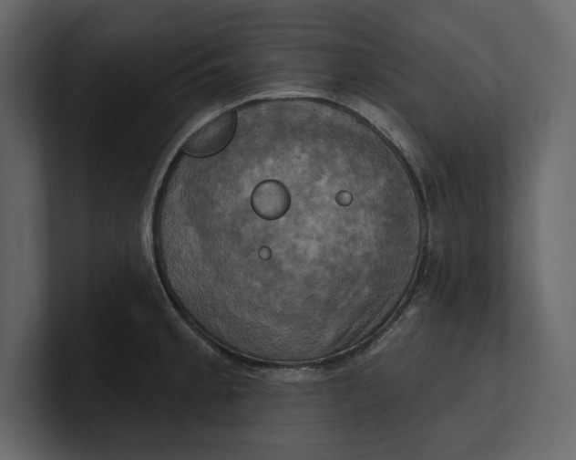 X0000100921189200807151215