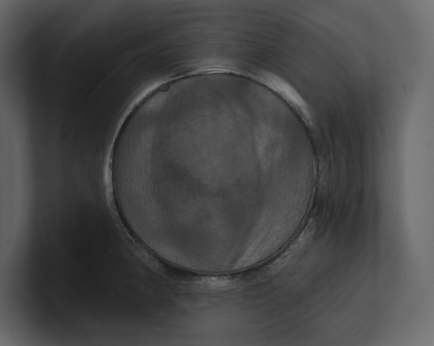 X0000100921190200807151215