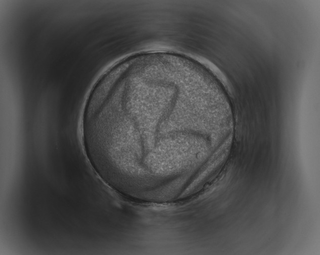 X0000100921191200807151215