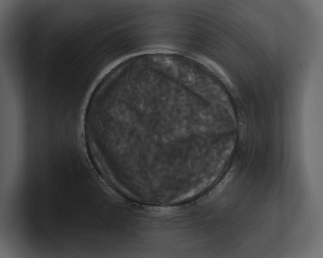 X0000100921192200807151215