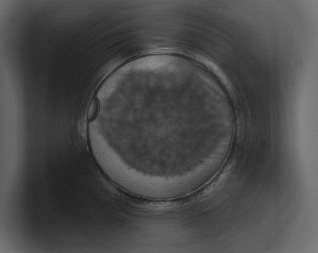 X0000100921193200807151215