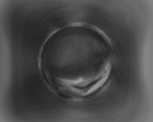 X0000100921194200807151215